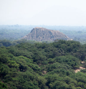 bosques_norte_peru